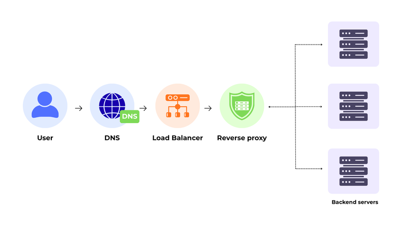 User request flowing through DNS, load balancer, reverse proxy, and backend servers
